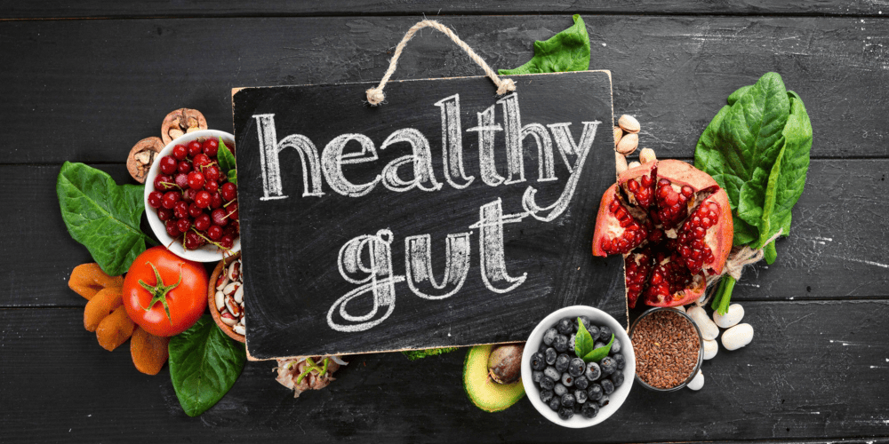 EXPERIENCE THE GUT-WELLNESS